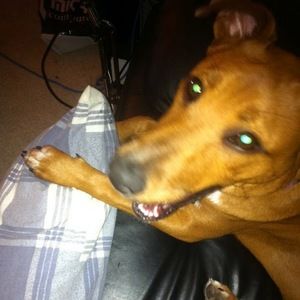 Meet your Posher, Melanie